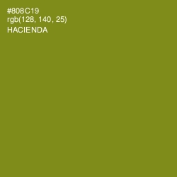#808C19 - Hacienda Color Image