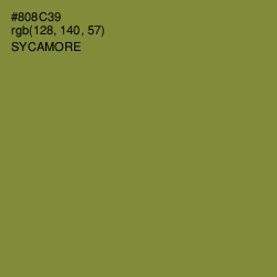 #808C39 - Sycamore Color Image