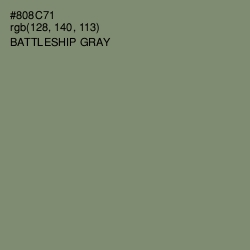 #808C71 - Battleship Gray Color Image