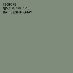 #808C7B - Battleship Gray Color Image