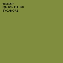 #808D3F - Sycamore Color Image