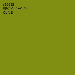 #808E11 - Olive Color Image