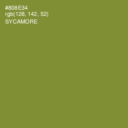 #808E34 - Sycamore Color Image