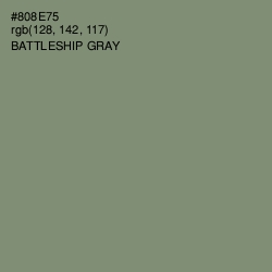 #808E75 - Battleship Gray Color Image