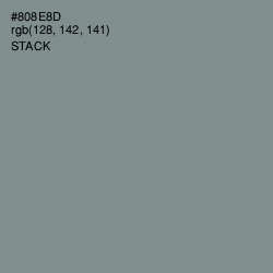 #808E8D - Stack Color Image