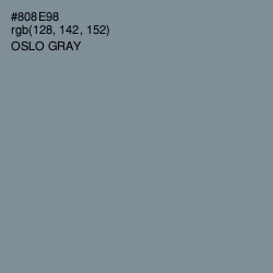 #808E98 - Oslo Gray Color Image