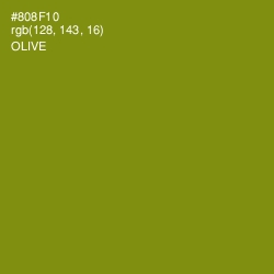 #808F10 - Olive Color Image