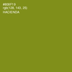 #808F19 - Hacienda Color Image