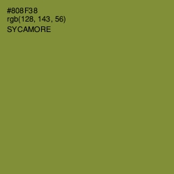 #808F38 - Sycamore Color Image