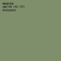 #808F6B - Avocado Color Image