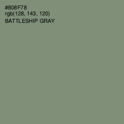 #808F78 - Battleship Gray Color Image