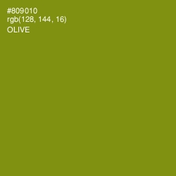 #809010 - Olive Color Image