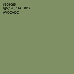 #809065 - Avocado Color Image