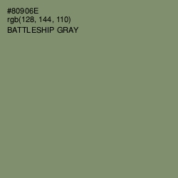 #80906E - Battleship Gray Color Image