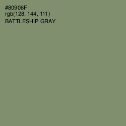 #80906F - Battleship Gray Color Image