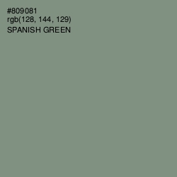#809081 - Spanish Green Color Image