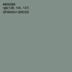 #809089 - Spanish Green Color Image