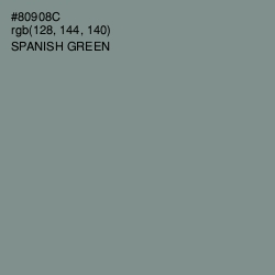 #80908C - Spanish Green Color Image