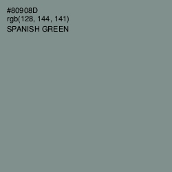 #80908D - Spanish Green Color Image