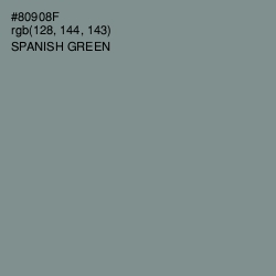 #80908F - Spanish Green Color Image