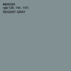 #809093 - Regent Gray Color Image