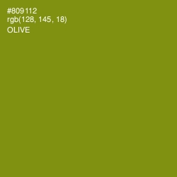 #809112 - Olive Color Image