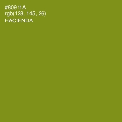 #80911A - Hacienda Color Image