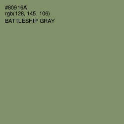 #80916A - Battleship Gray Color Image