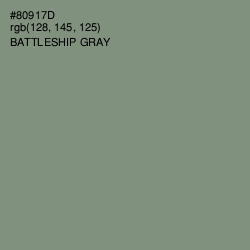 #80917D - Battleship Gray Color Image
