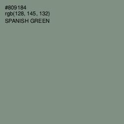 #809184 - Spanish Green Color Image