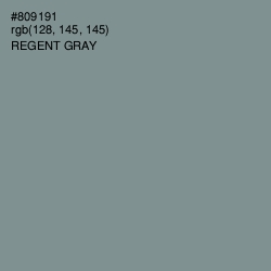 #809191 - Regent Gray Color Image