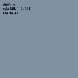 #8091A1 - Manatee Color Image