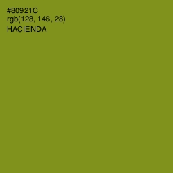 #80921C - Hacienda Color Image