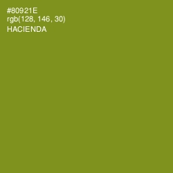 #80921E - Hacienda Color Image