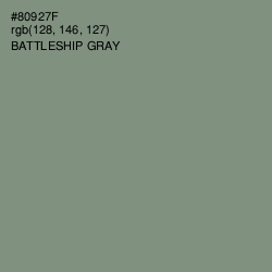 #80927F - Battleship Gray Color Image