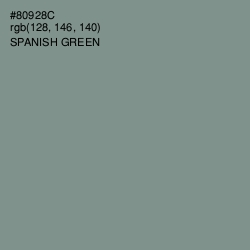 #80928C - Spanish Green Color Image