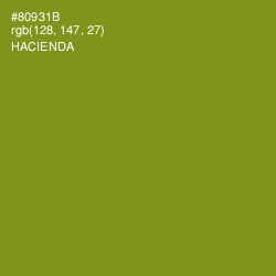 #80931B - Hacienda Color Image