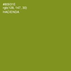#80931E - Hacienda Color Image