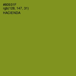 #80931F - Hacienda Color Image