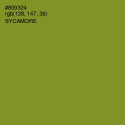 #809324 - Sycamore Color Image