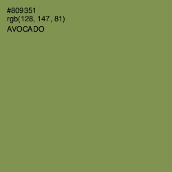 #809351 - Avocado Color Image