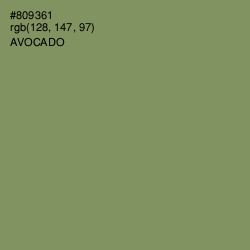 #809361 - Avocado Color Image