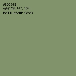#80936B - Battleship Gray Color Image