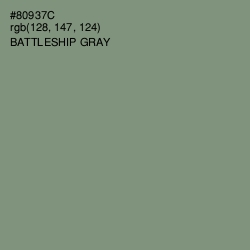 #80937C - Battleship Gray Color Image