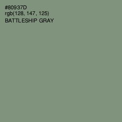 #80937D - Battleship Gray Color Image