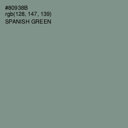 #80938B - Spanish Green Color Image