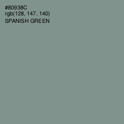 #80938C - Spanish Green Color Image