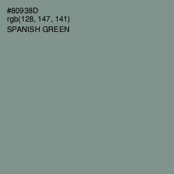 #80938D - Spanish Green Color Image