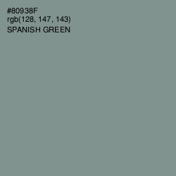 #80938F - Spanish Green Color Image