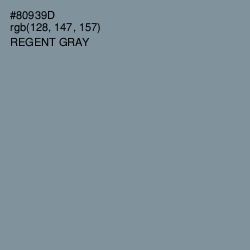 #80939D - Regent Gray Color Image